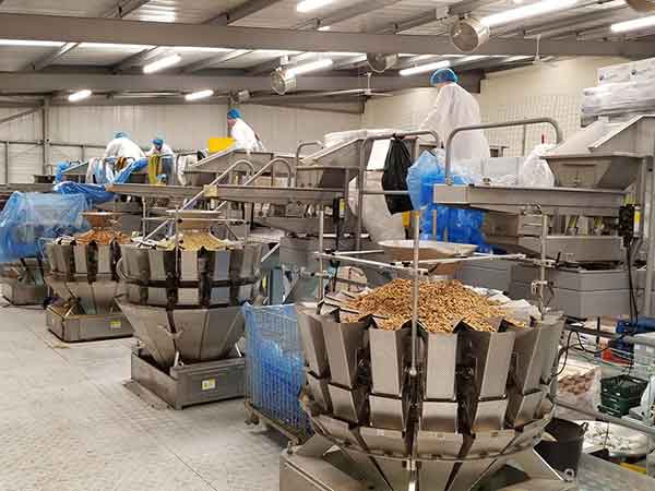 全自動污软件破解版永久免费版智能化聯動生產