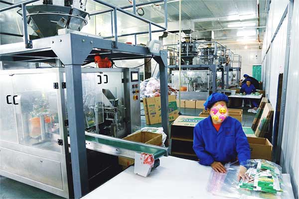 給袋式顆粒全自動污软件破解版永久免费版廠家